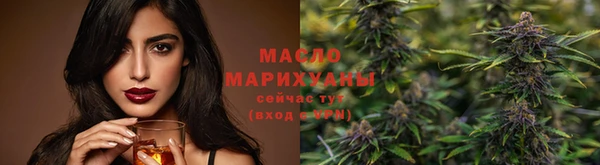 индика Армянск