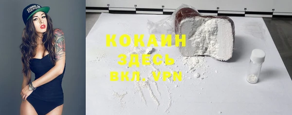 индика Армянск