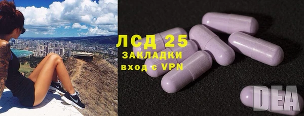 индика Армянск