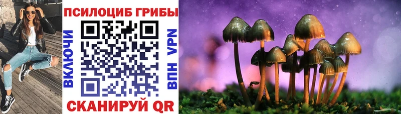 Псилоцибиновые грибы мицелий  наркота  Сокол 